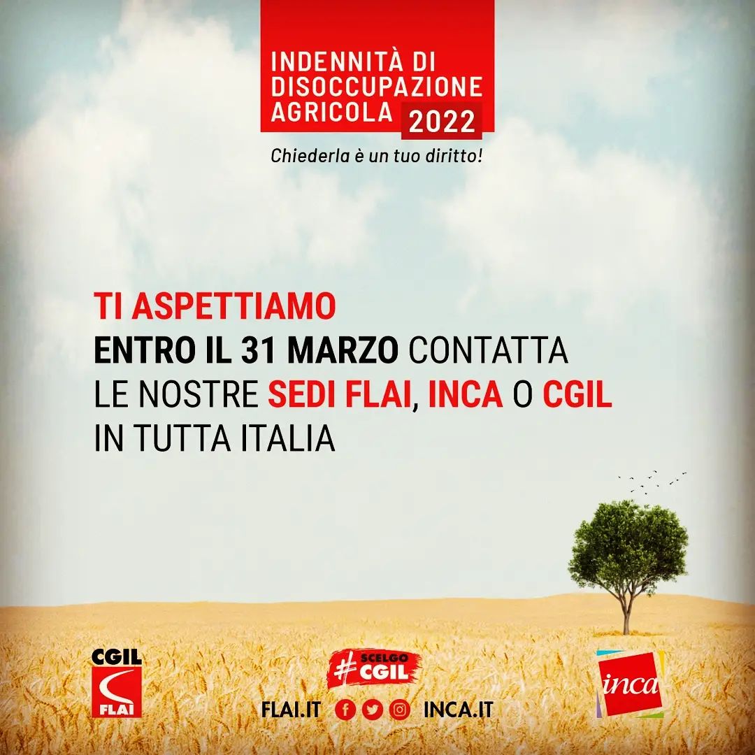 DISOCCUPAZIONE AGRICOLA 6