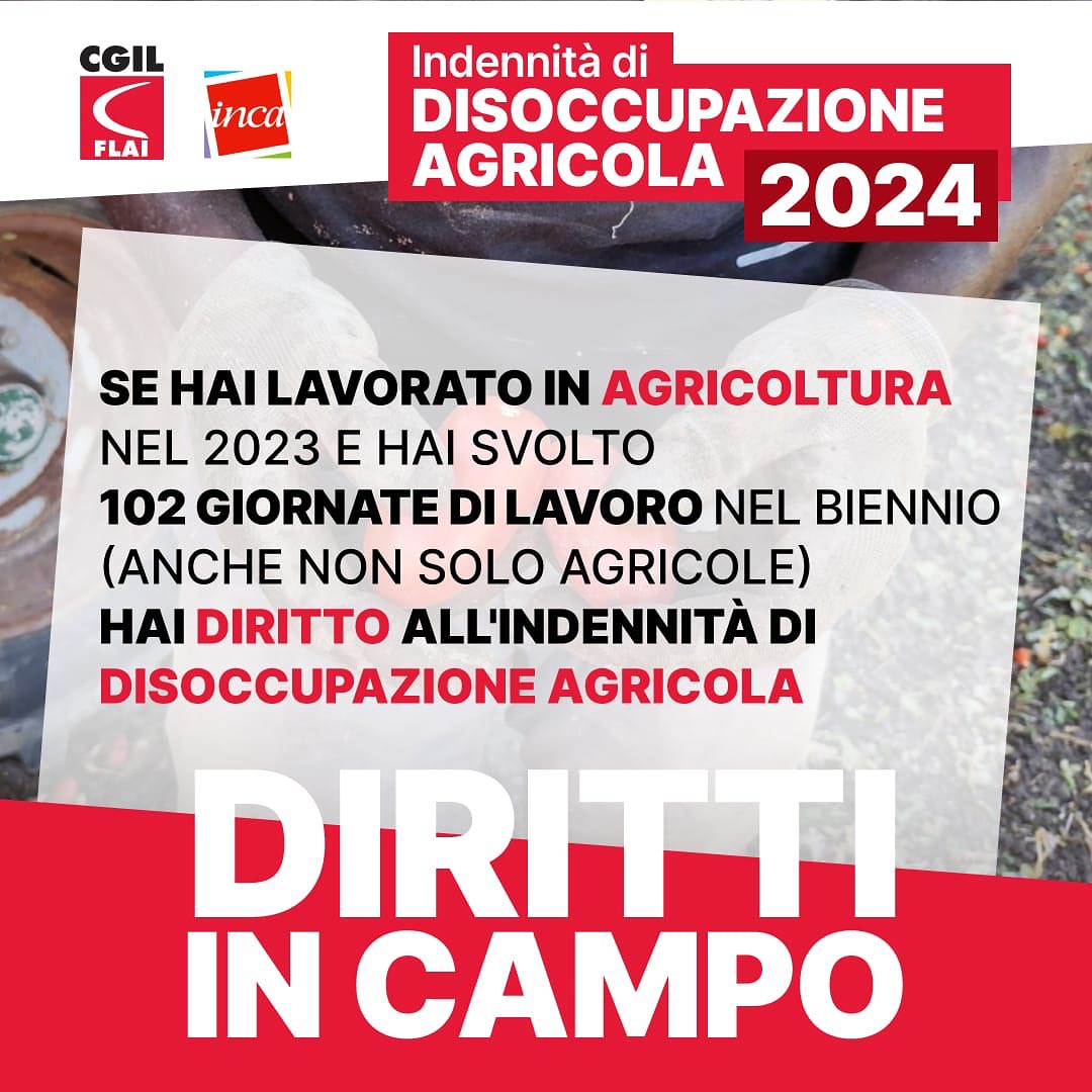 2023 10 DS AGRICOLA 2
