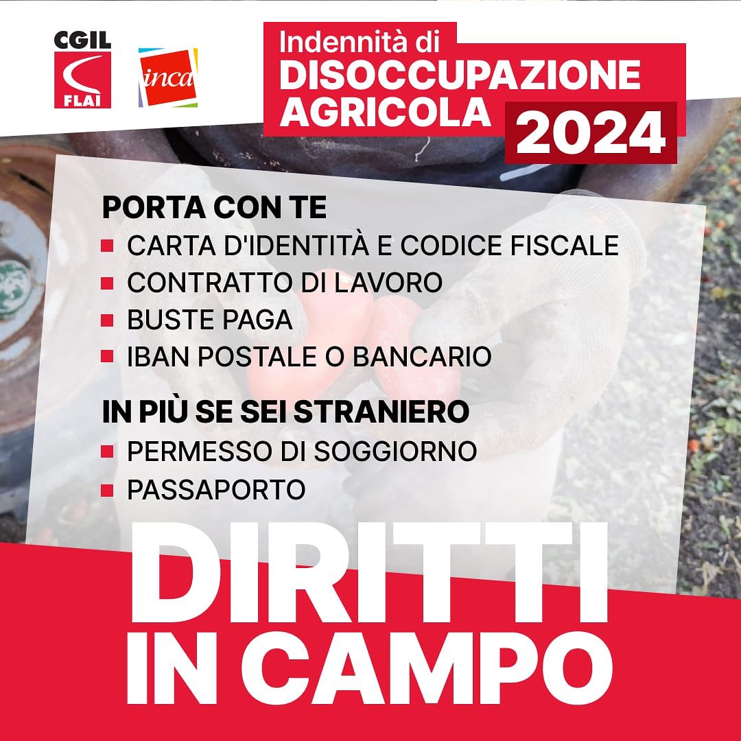 2023 10 DS AGRICOLA 4