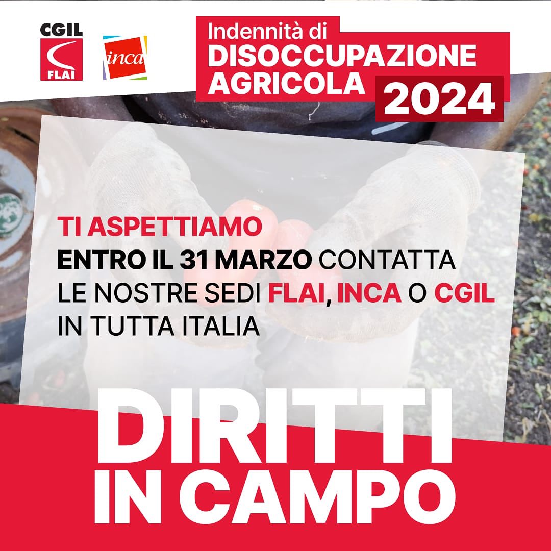 2023 10 DS AGRICOLA 6