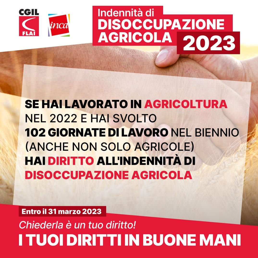2023 DS AGRICOLA 2