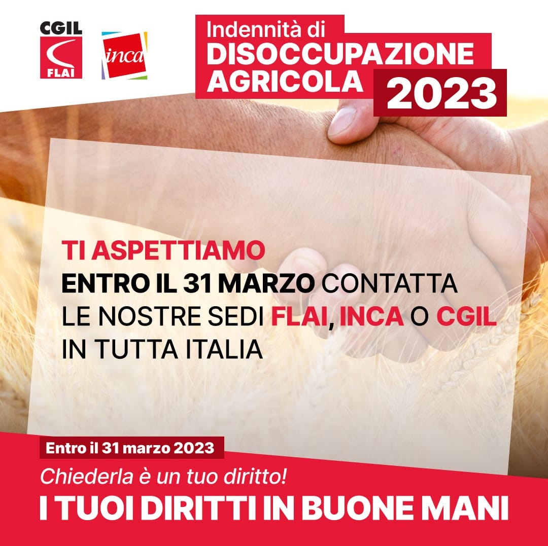 2023 DS AGRICOLA 6