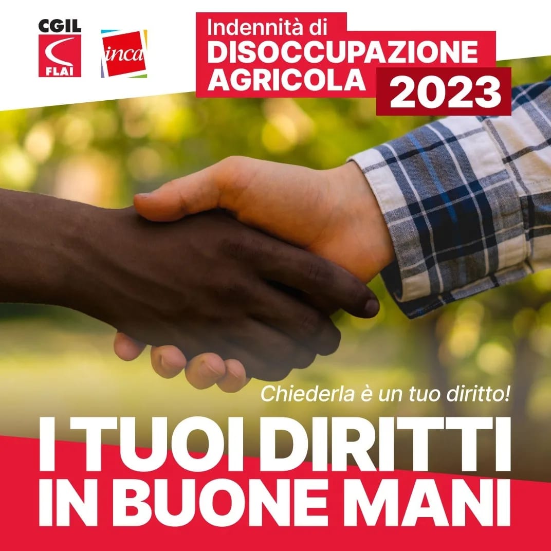 2023 DS AGRICOLA 7